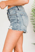 Vervet Button Fly Shorts- Emilia Wash